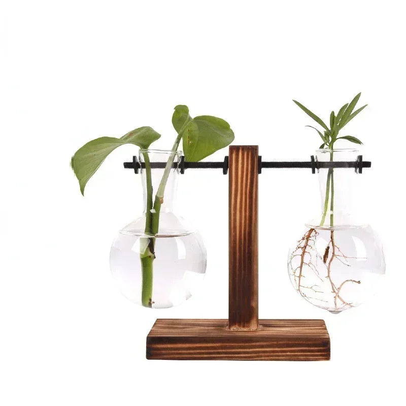 Hydroponic Glass Plant Vase - BOAA Homes