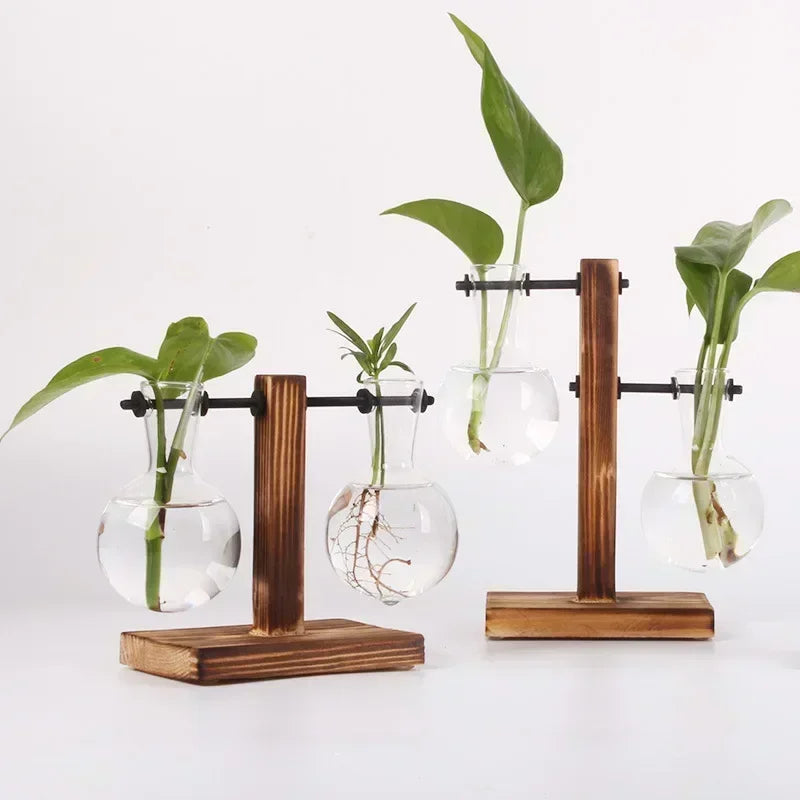 Hydroponic Glass Plant Vase - BOAA Homes