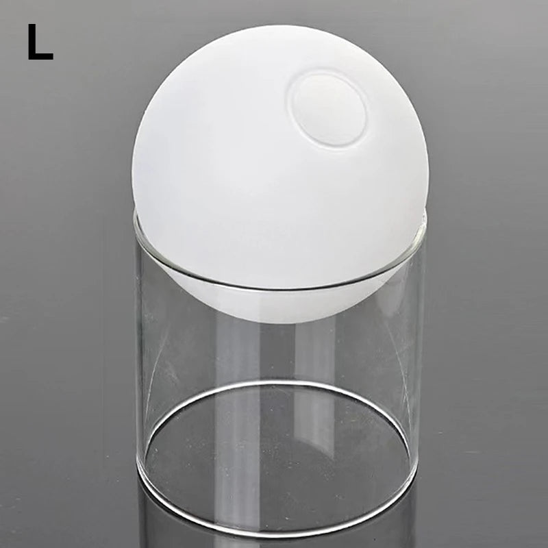 Mini Round Hydroponic Glass Vase - BOAA Homes