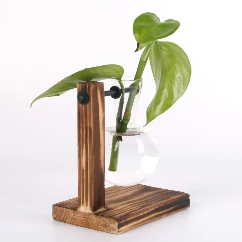 Hydroponic Glass Plant Vase - BOAA Homes