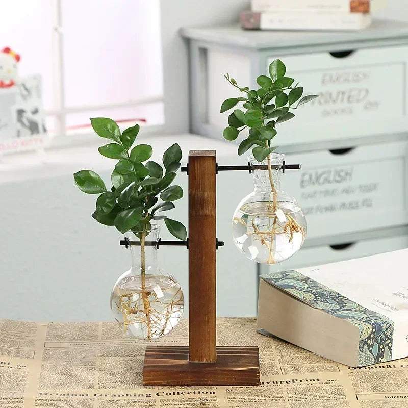 Hydroponic Glass Plant Vase - BOAA Homes