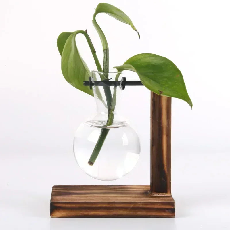 Hydroponic Glass Plant Vase - BOAA Homes