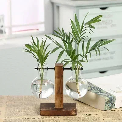 Hydroponic Glass Plant Vase - BOAA Homes